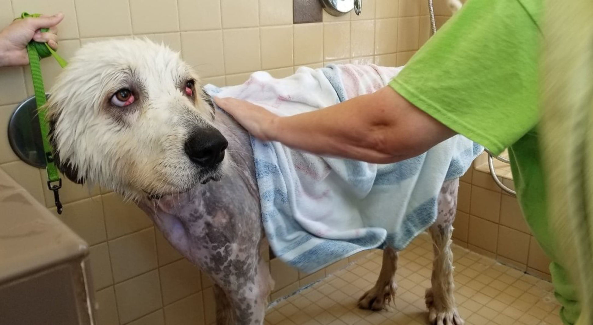 shiloh spa day 2 .jpg